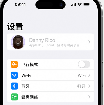 赤坎appleID维修服务iPhone设置中Apple ID显示为灰色无法使用 