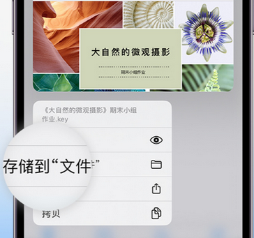 赤坎apple维修中心分享iPhone文件应用中存储和找到下载文件