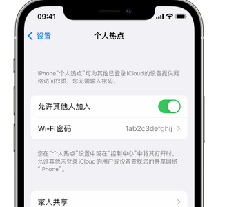 赤坎apple服务站点分享iPhone上个人热点丢失了怎么办 