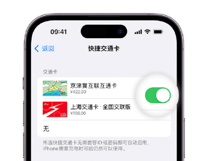 赤坎apple维修点分享iPhone上更换Apple Pay快捷交通卡手绘卡面 