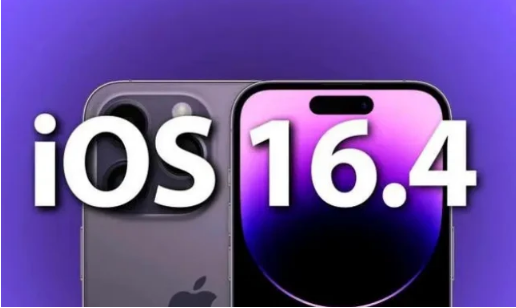 赤坎苹果14维修分享：iPhone14可以升级iOS16.4beta2吗？ 