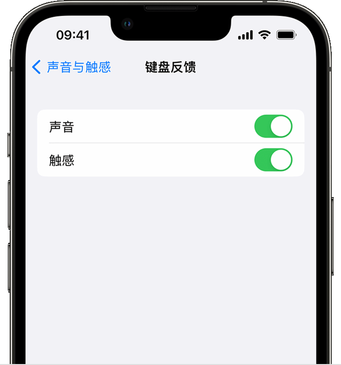 赤坎苹果14维修店分享如何在 iPhone 14 机型中使用触感键盘 