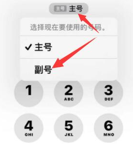 赤坎苹果14维修店分享iPhone 14 Pro Max使用副卡打电话的方法 