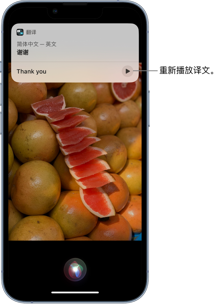 赤坎苹果14维修分享 iPhone 14 机型中使用 Siri：了解 Siri 能帮你做什么 