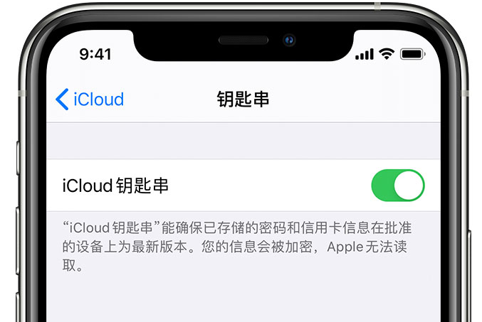 赤坎苹果手机维修分享在 iPhone 上开启 iCloud 钥匙串之后会储存哪些信息 