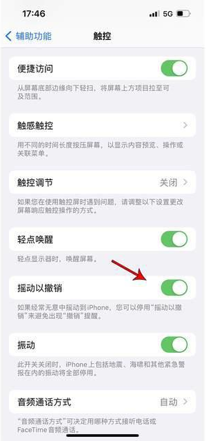 赤坎苹果手机维修分享iPhone手机如何设置摇一摇删除文字 