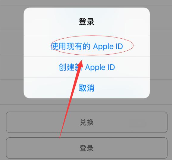 赤坎苹果手机维修分享两台iPhone设备可以同时登录一个Apple ID吗 