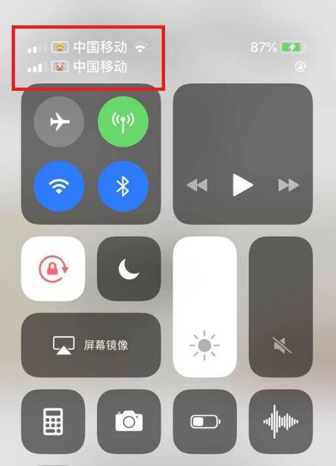 赤坎苹果手机维修分享为 iPhone 12 双卡设置标签 