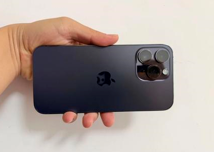 赤坎苹果维修点分享iPhone 14 Pro Max黑屏少见故障盘点 